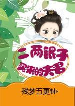 二兩銀子買來的夫君