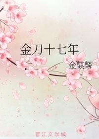 金刀十七年