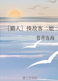 ［獵人］揍敵客二姐