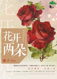 花開兩朵