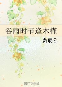 谷雨時節逢木槿