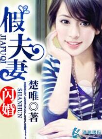 閃婚假夫妻
