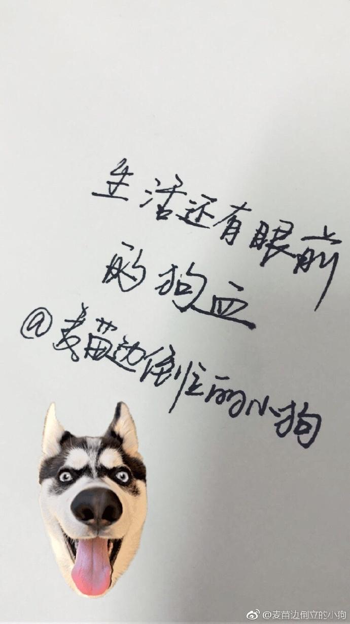 生活還有眼前的狗血