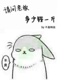 請問老板多少錢一斤