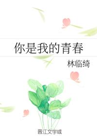 你是我的青春