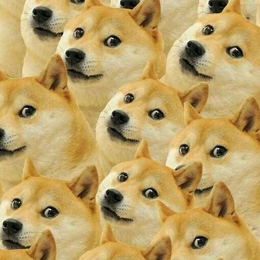 我的各種靈異日常