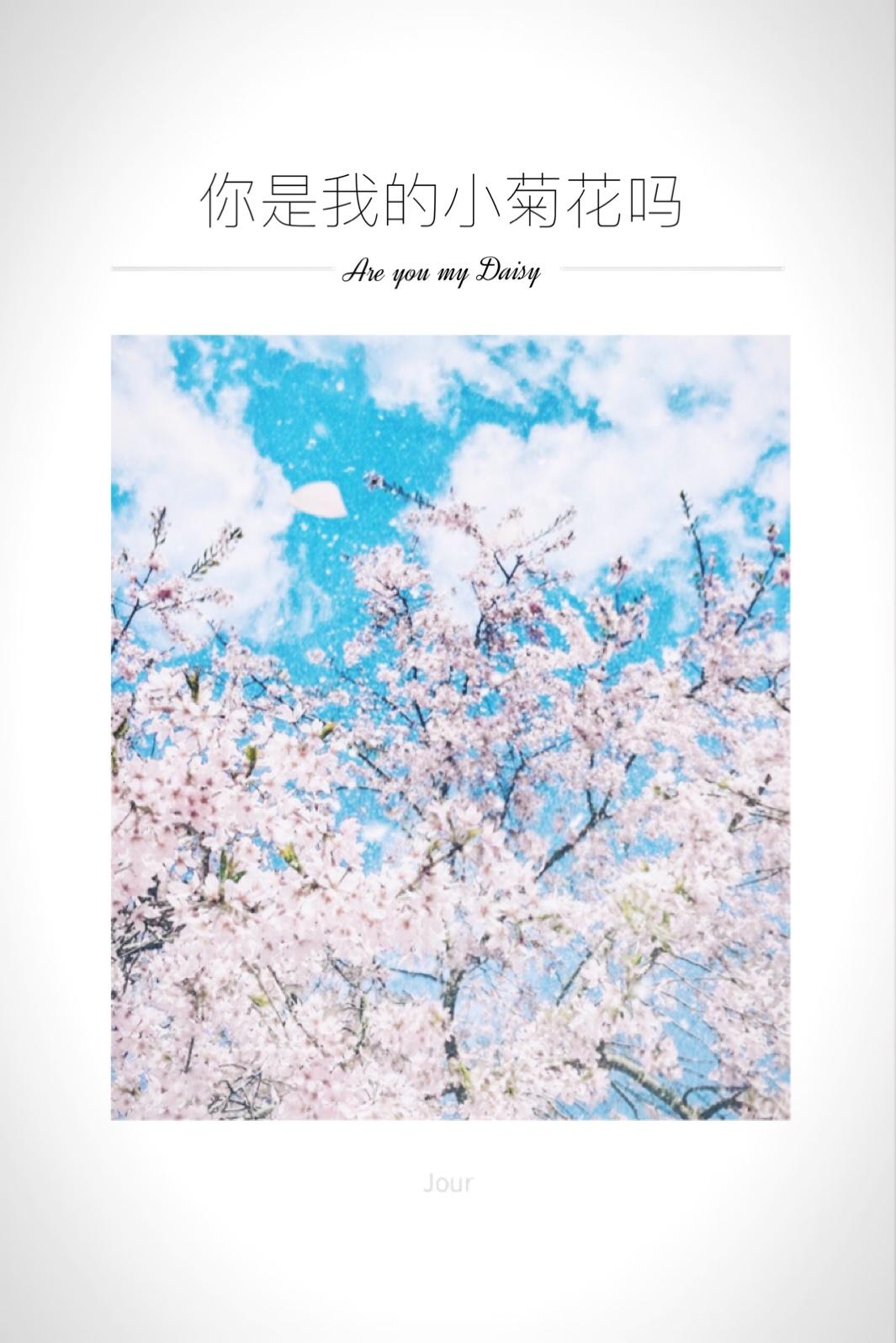 你是我的小菊花嗎
