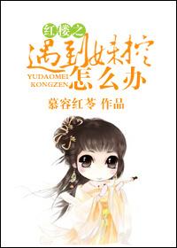 紅樓之遇到妹控怎麽辦？