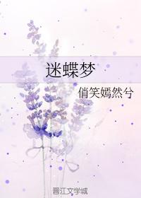 迷蝶夢