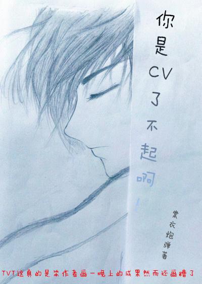 你是CV了不起啊！