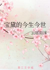 寶黛的今生今世