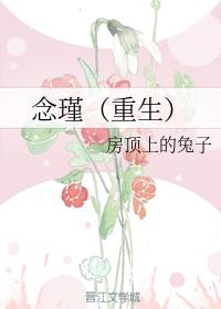 念瑾（重生）