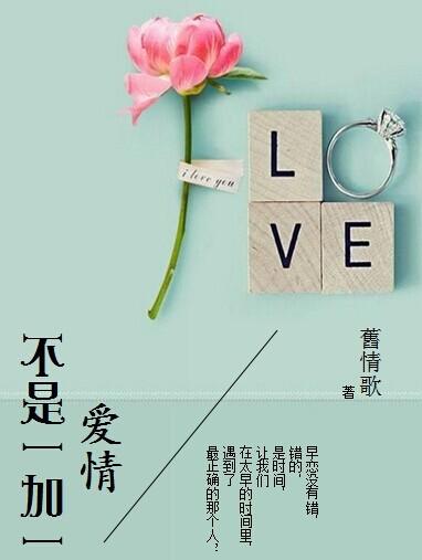 愛情不是一加一