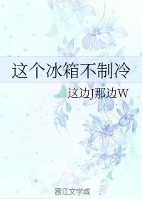 這個冰箱不制冷