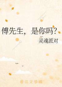 傅先生，是你嗎？