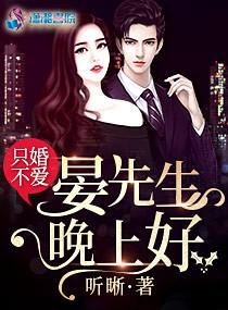 只婚不愛：晏先生，晚上好