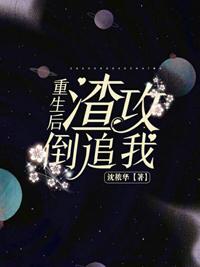 重生後渣攻倒追我