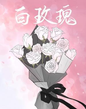 白玫瑰