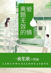 離婚無效的愛情