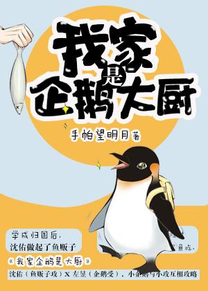 小企鵝求愛日記