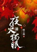 夜火獨眠