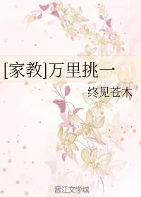 [家教]萬裏挑一