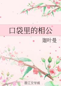 口袋裏的相公