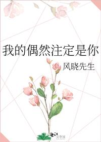我的偶然注定是你
