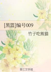 [黑籃]編號009