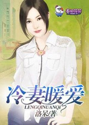 冷妻暖愛