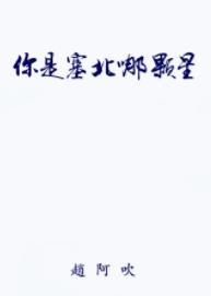 你是塞北哪顆星