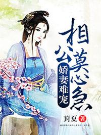 嬌妻難寵：相公莫心急