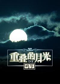 重疊的月光