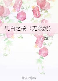 純白之核（無限流）