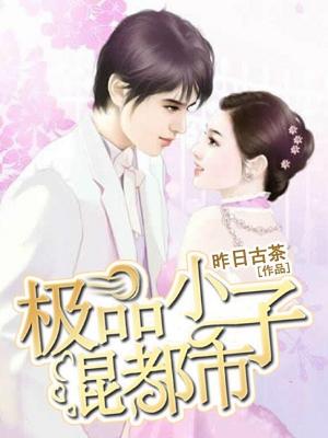 極品小子混都市