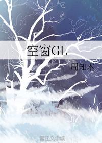 空窗GL