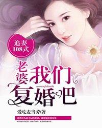 追妻108式：老婆，我們複婚吧