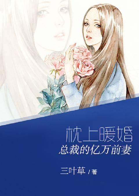 枕上暖婚：總裁的億萬前妻