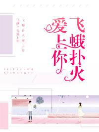 飛蛾撲火愛上你