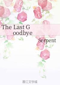 TheLastGoodbye