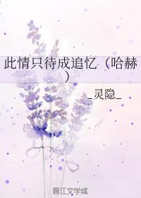此情只待成追憶（哈赫）