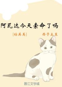 [綜英美]阿瓦達今天索命了嗎