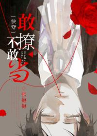 敢撩不敢當[快穿]