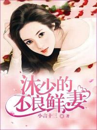 沐少的不良鮮妻