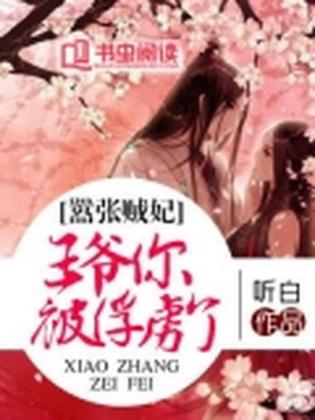 嚣張賊妃：王爺你被俘虜了