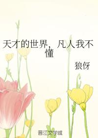 天才的世界，凡人我不懂