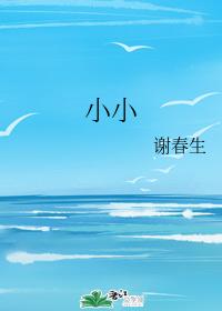 小小