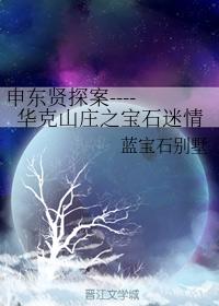 申東賢探案----華克山莊之寶石迷情