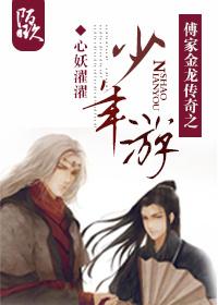 傅家金龍傳奇之少年游