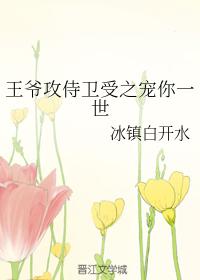 王爺攻侍衛受之寵你一世